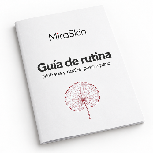 Guía de rutina en PDF